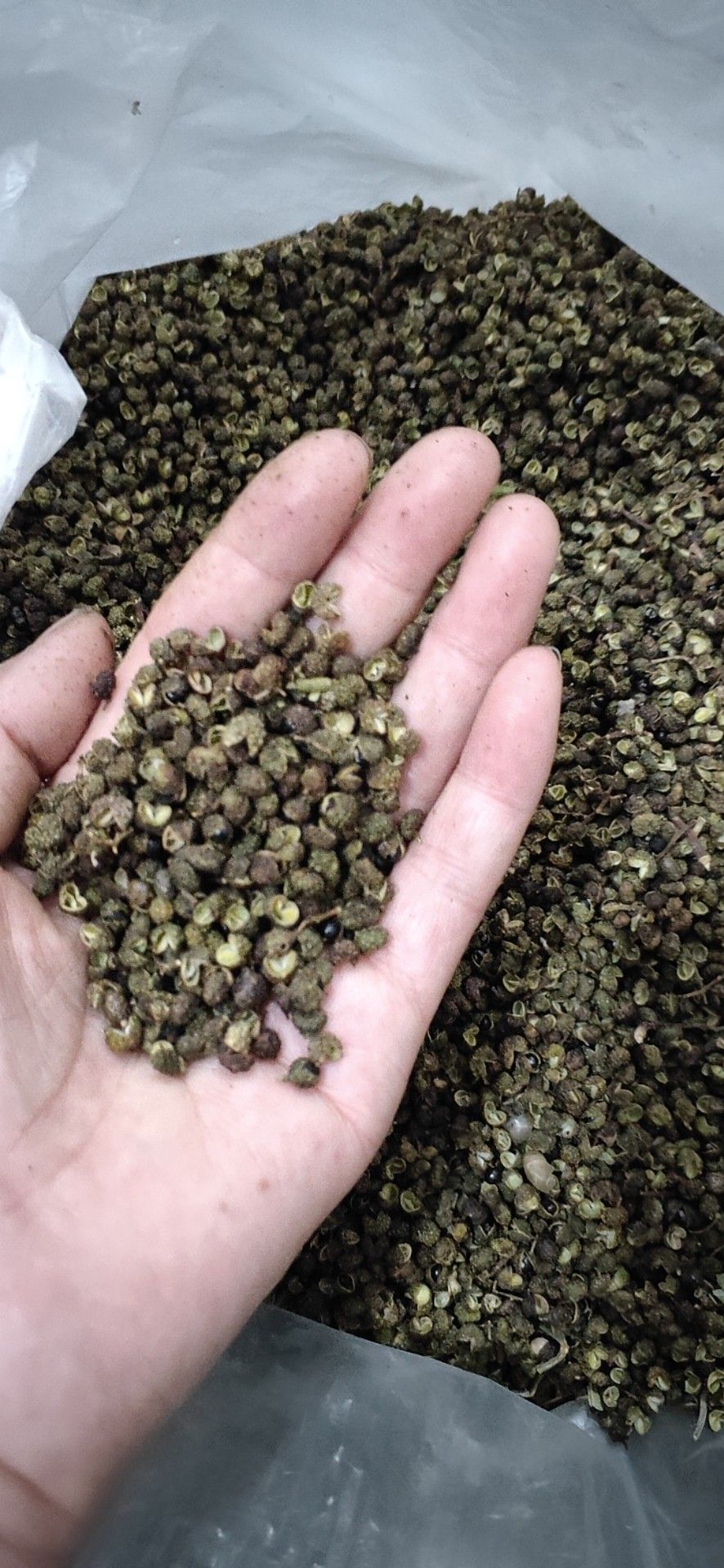 永善花椒  正宗云南本地花椒，  自产自销，没中间商赚差价