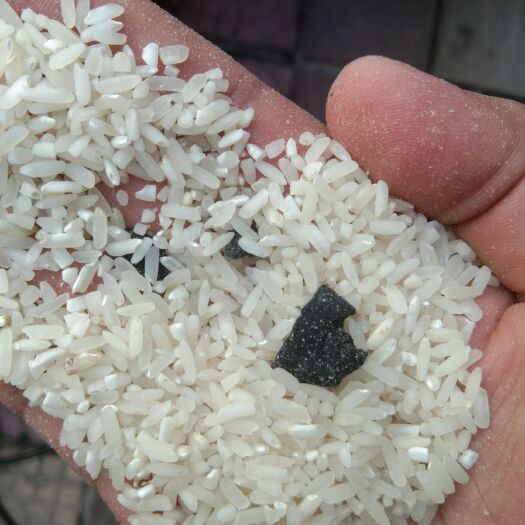 重庆市珍珠米 二等品 晚稻 粳米