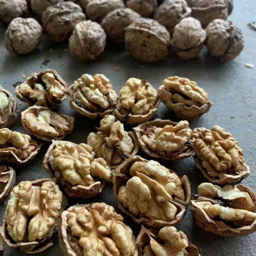 成都 云南麻子核桃