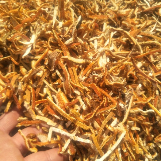玉林 新干陈皮有大货