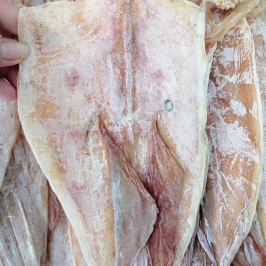 海南万宁特产新鲜鱿鱼干优质美味即食加工农产品水产类零食