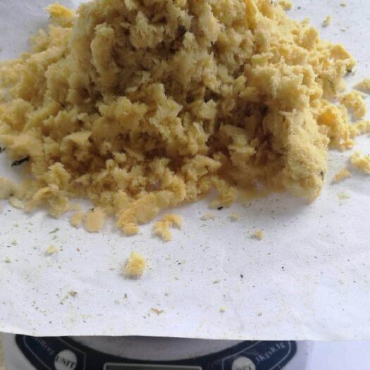 成都 黑水虻虫卵销售