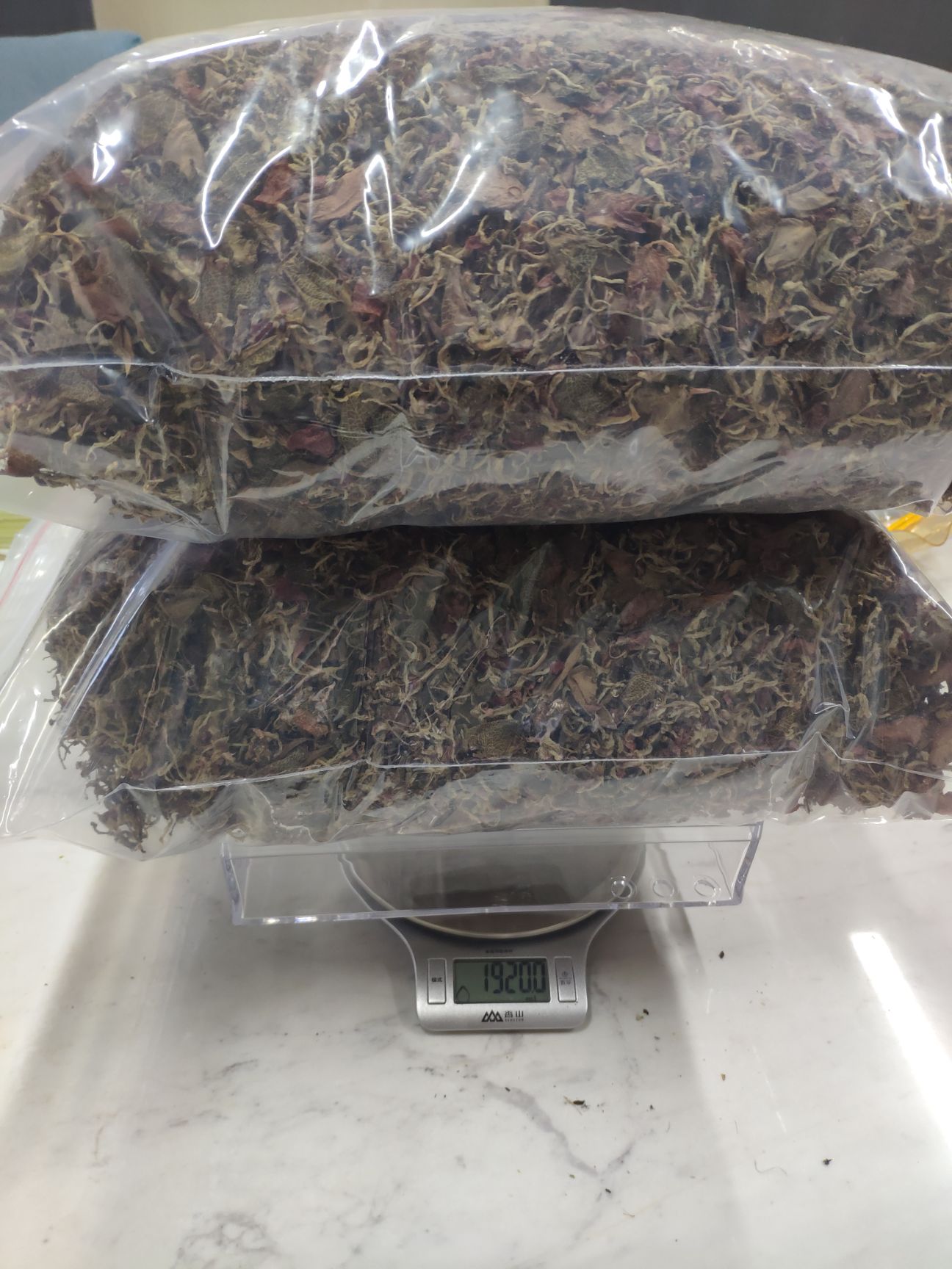 金线莲散货干品500克/件（散货，不是整株）