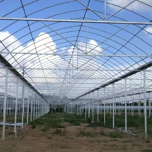 沭阳县种植大棚 大棚杆