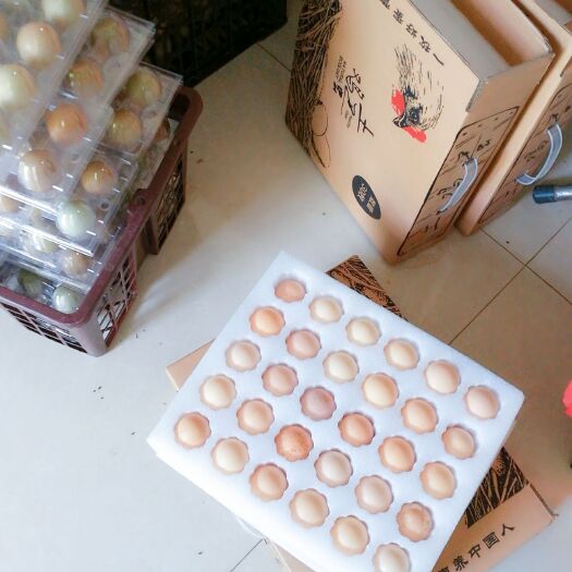 商洛土鸡种蛋 孵化 箱装 