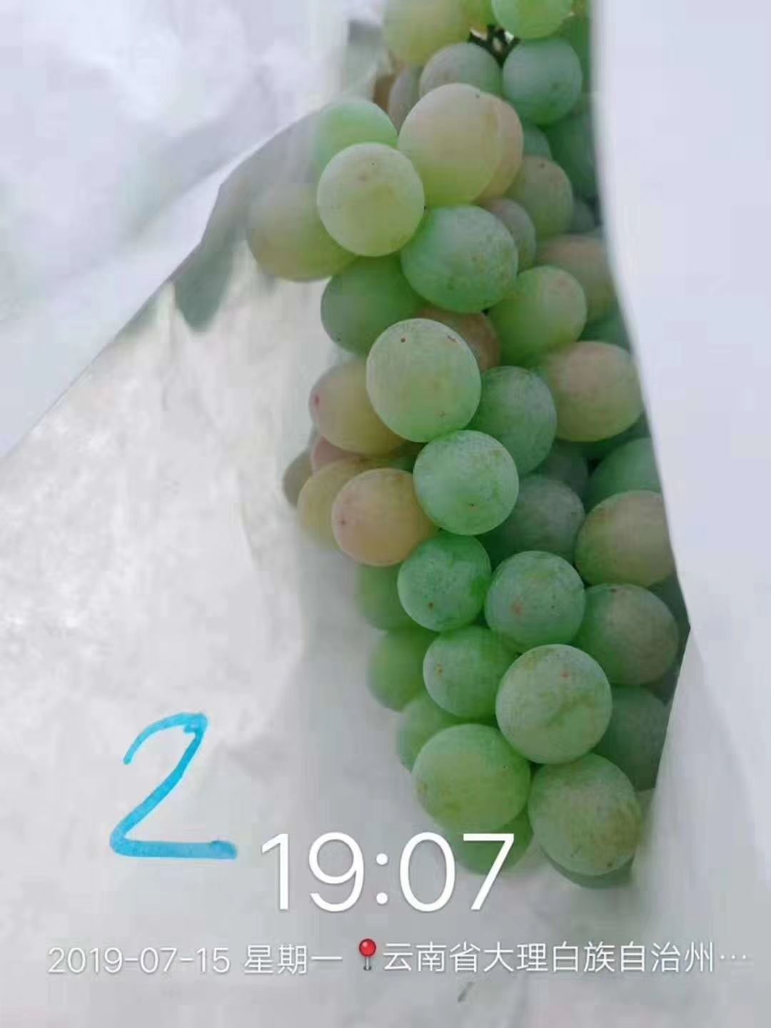 水溶肥料 营养型转色剂  粉剂