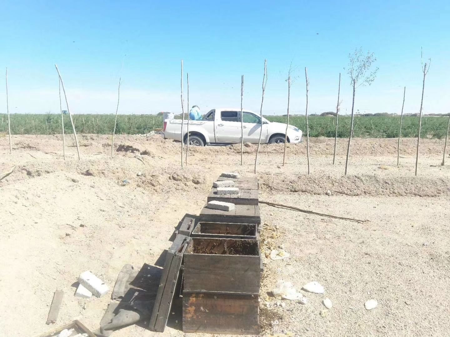 枸杞蜜 桶装 2年以上 