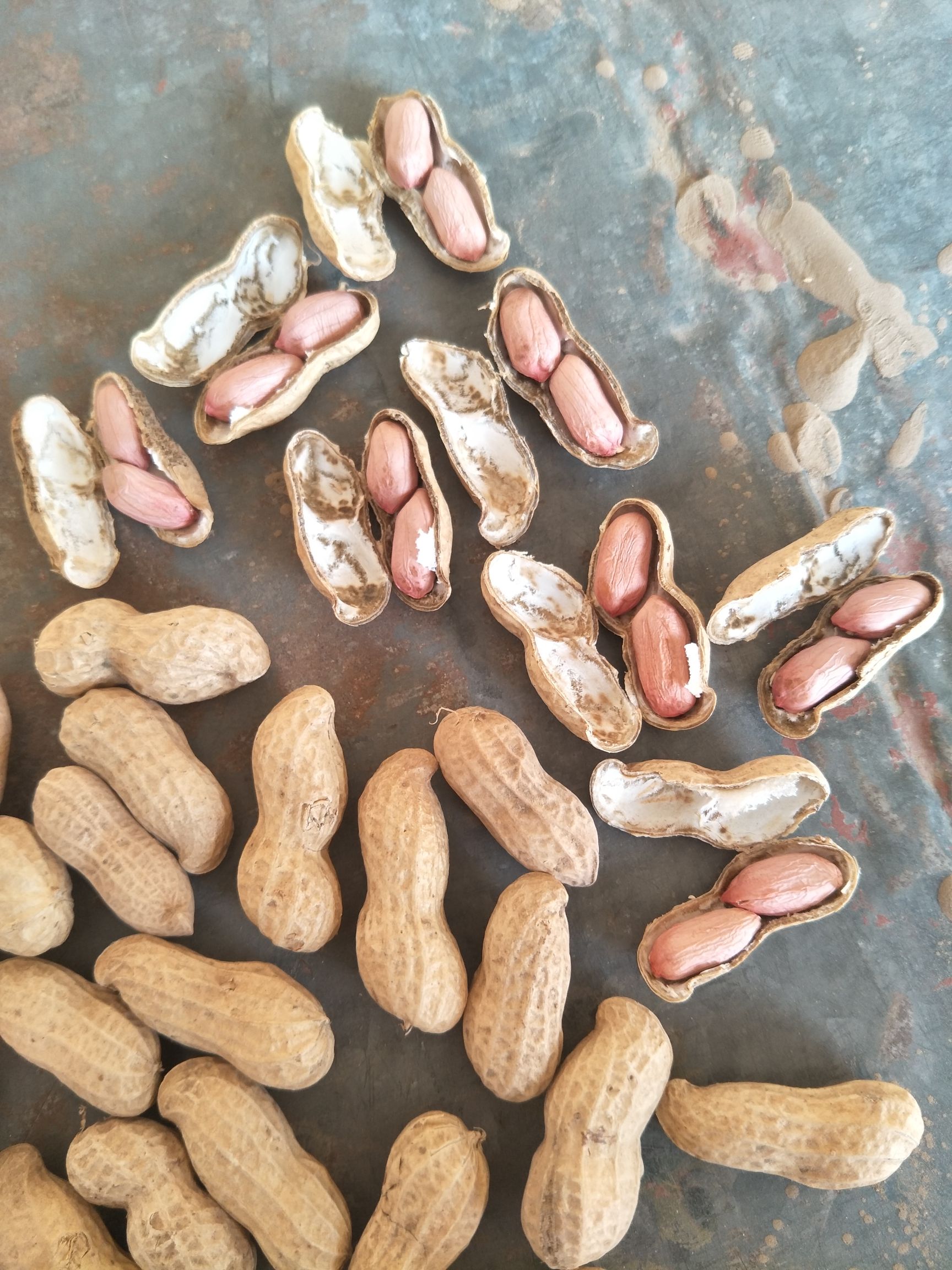 带壳花生 带壳花生 干货