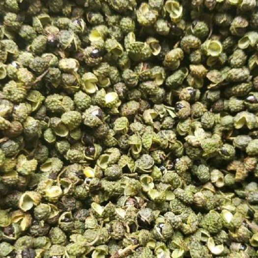 巧家县青花椒苗 鲜花椒，干花椒，自己种植