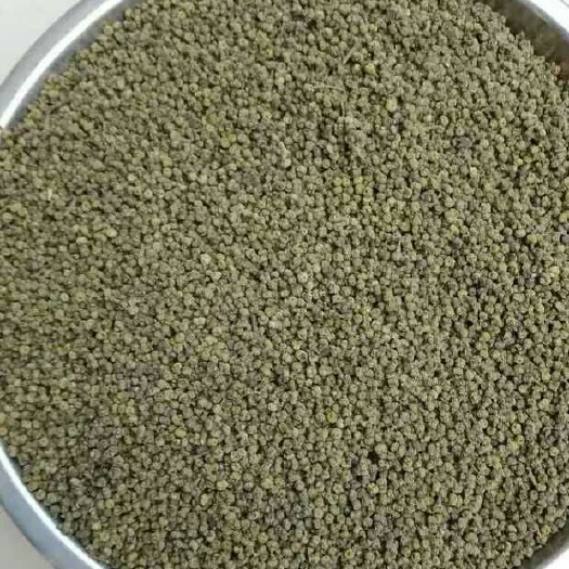 樟树市江西中花吴茱萸