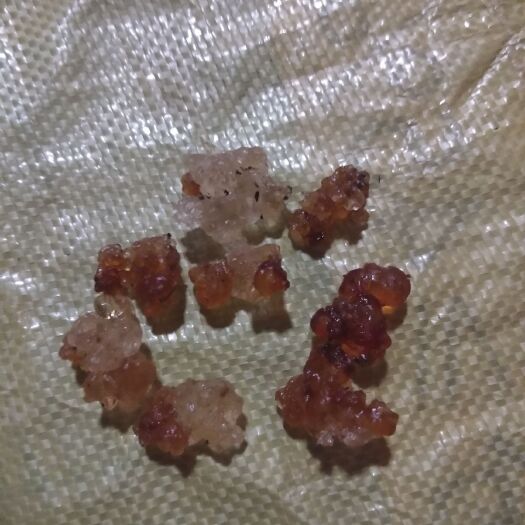 芷江县 想要桃胶的可以联系