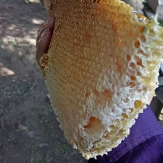 金寨县 安徽省金寨县大别山百花土蜂蜜