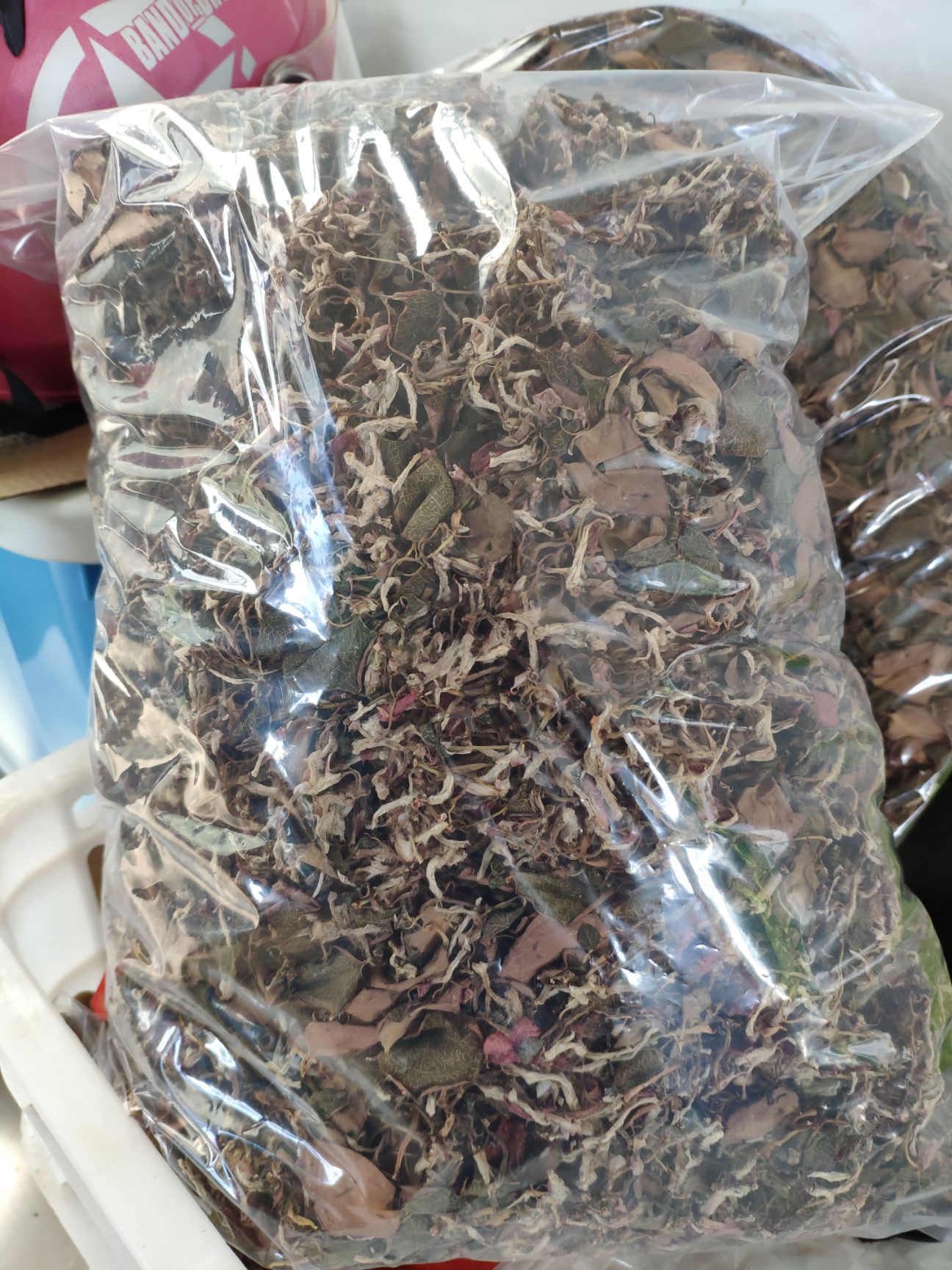 金线莲散货干品500克/件（散货，不是整株）