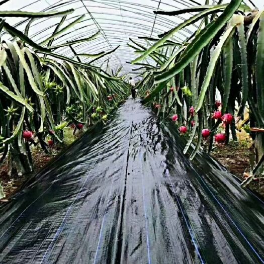 天津 防草布    大棚配件一站式购齐