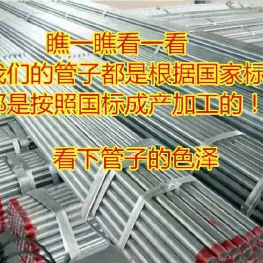 沭阳县 种植大棚