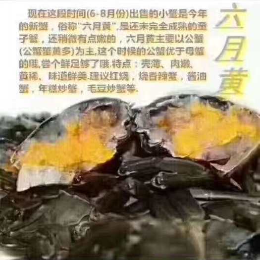 微山县微山湖大闸蟹 统货