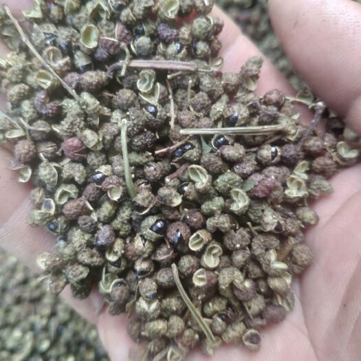 巧家县 青花椒