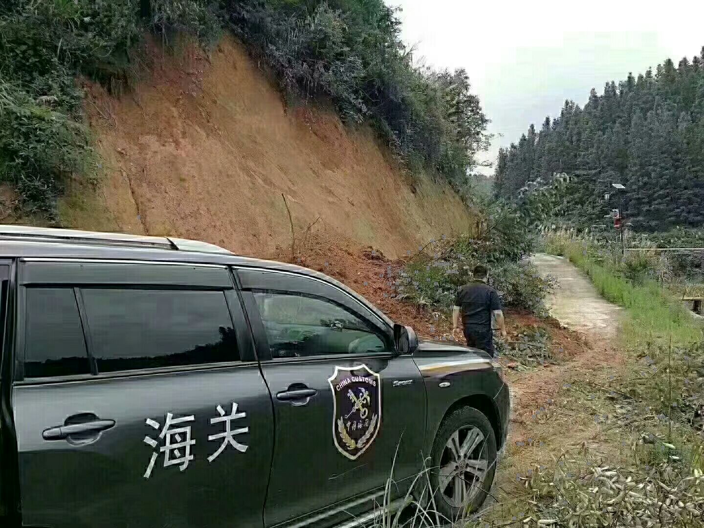  高山黄桃68元五斤包邮十斤128元包邮