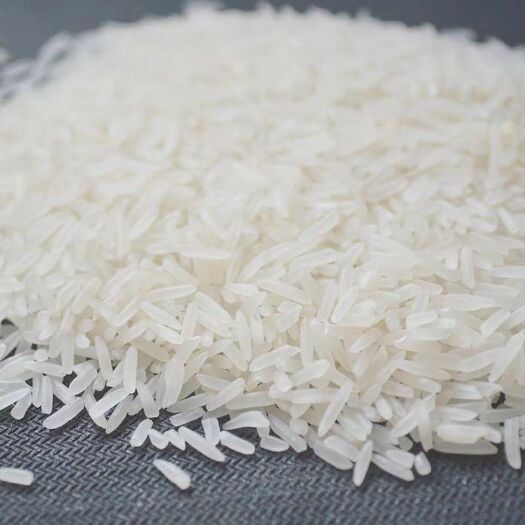 洋县 汉中洋县一级贡品香米熬粥米香米饭宝宝辅食稀饭大米1KG 包邮