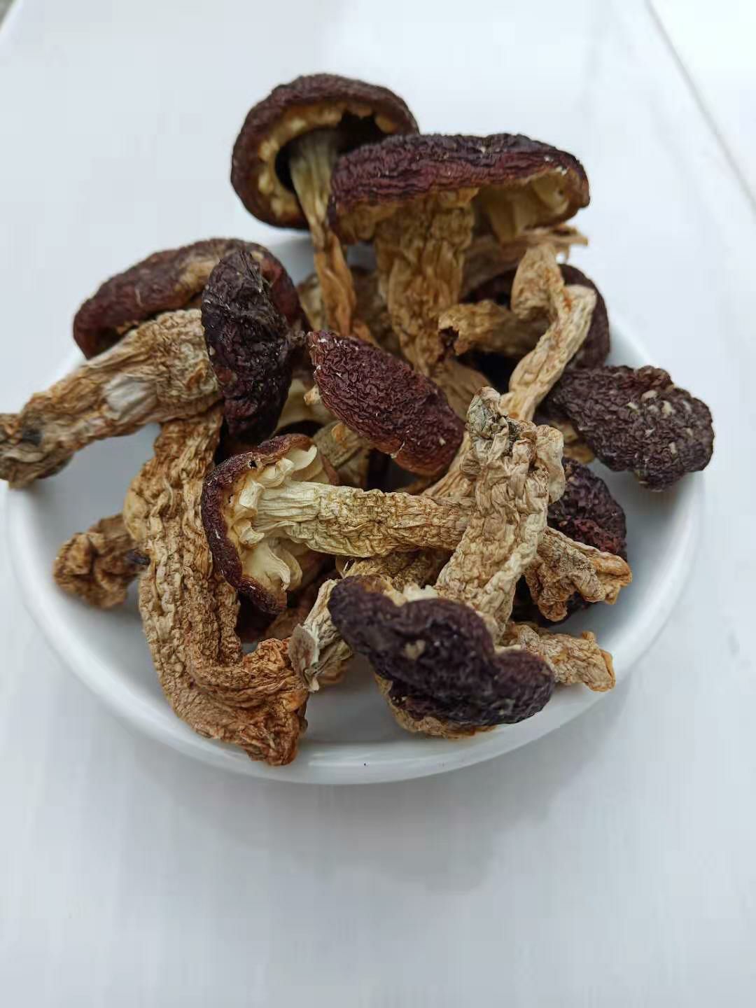  林下赤松茸，无公害，天然绿色农产品。