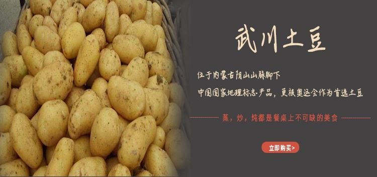 淅川县 226土豆