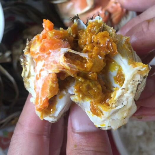淮安 精品大闸蟹推出礼盒装