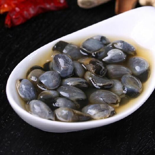 射阳县 好吃美味新鲜泥螺