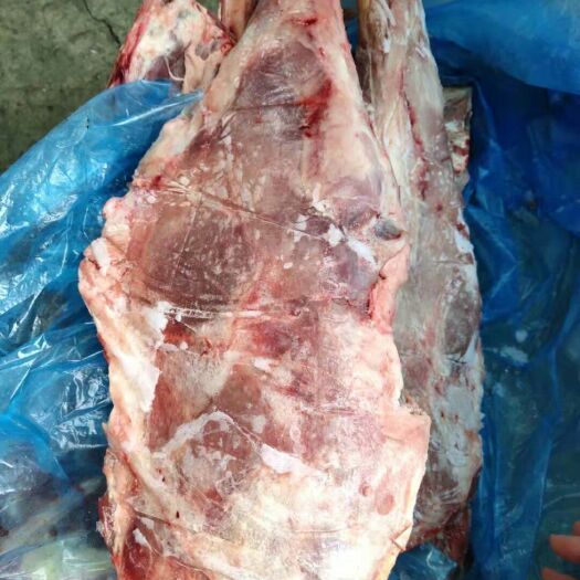 献县羊排 206六分体