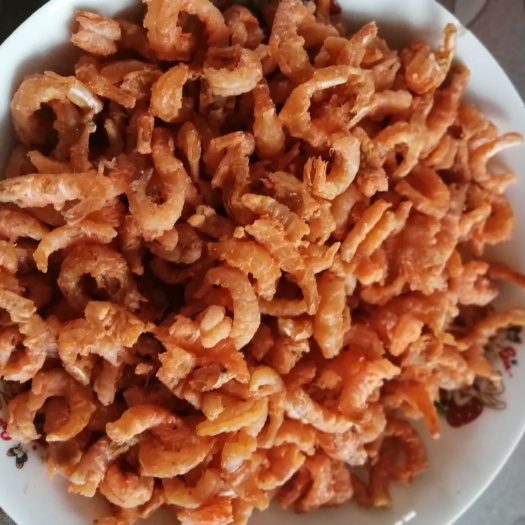 滨州 小虾仁海米
