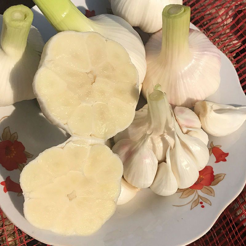  河南开封杞县紫皮新鲜大蒜