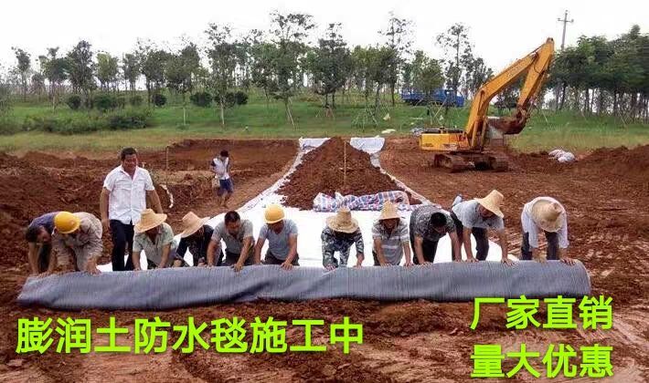 德州防渗膜 膨润土防水毯 水利工程 垃圾填埋场 人工湖厂家直销