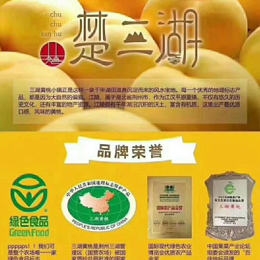 江陵县 三湖锦绣黄桃已进入尾期.喜欢的赶紧微我