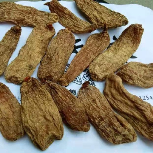 正安县 贵州正安乌天麻