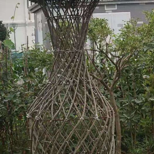 兴安县 紫薇花瓶，自产自销，欢迎订购