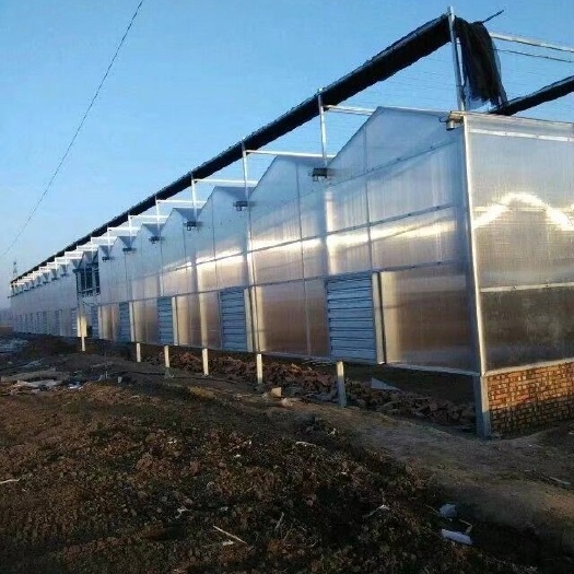 青州市文洛式温室大棚 智能玻璃温室