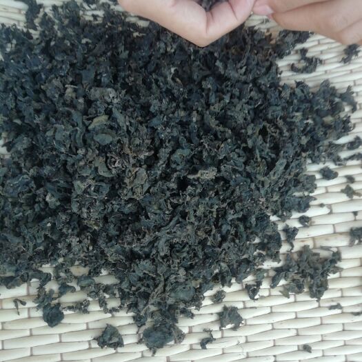 同心县 地皮菜