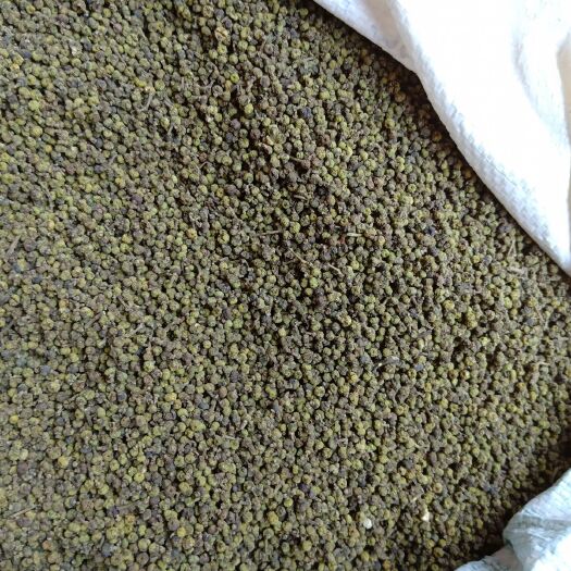 融水县吴茱萸 茶辣，自家种植药材