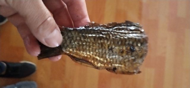 广昌县鲅鱼干