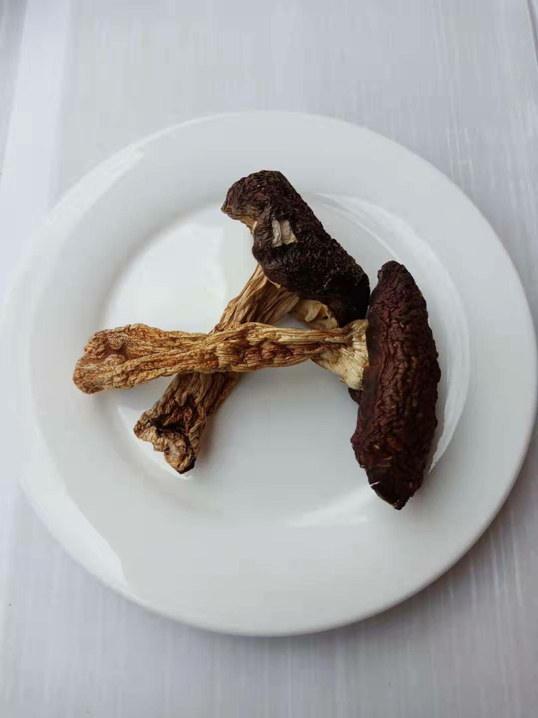  林下赤松茸，无公害，天然绿色农产品。