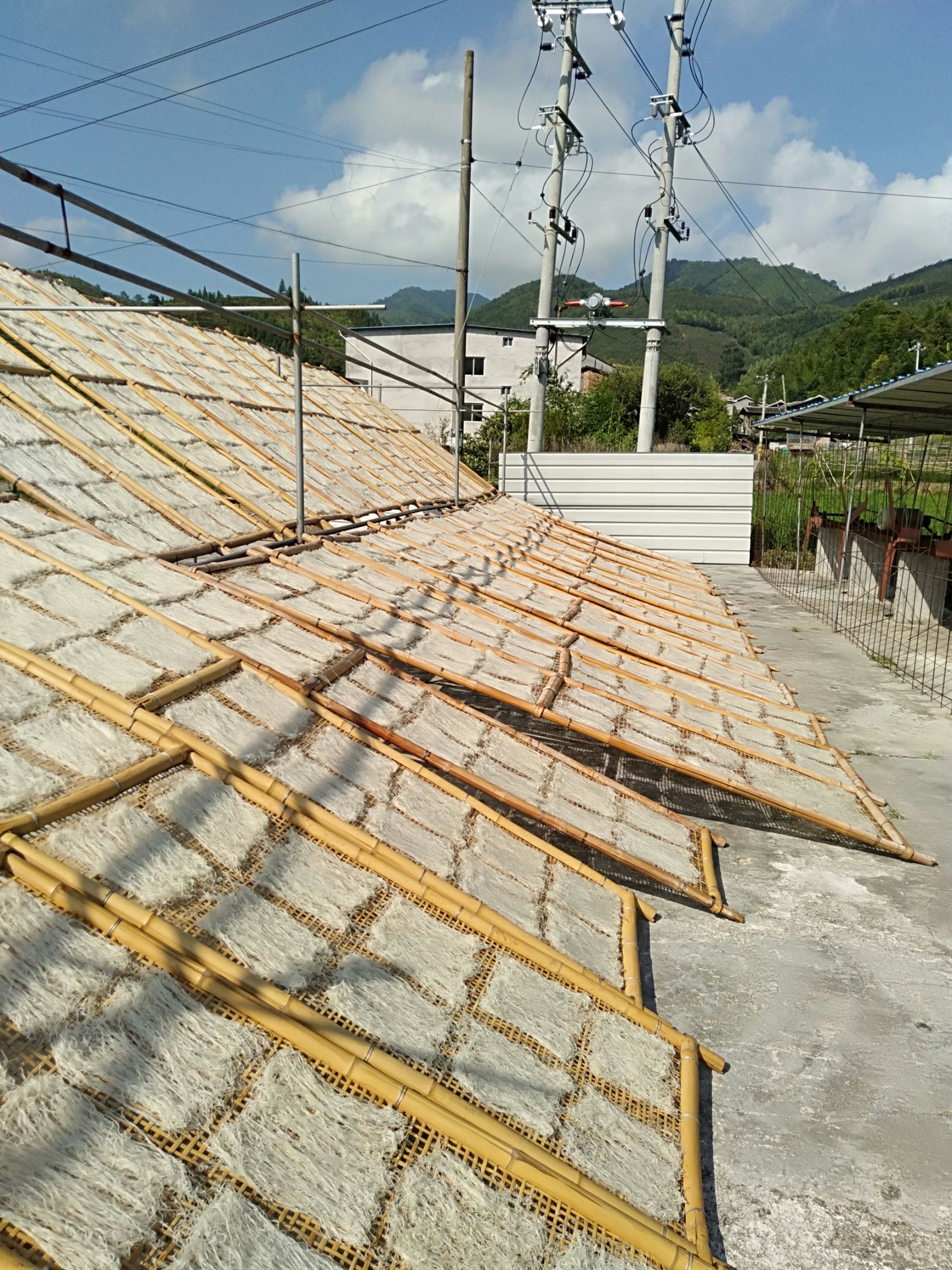 福建闽南特种米纯手工粉干 厂家直销 传统制法 炒煮烫都行