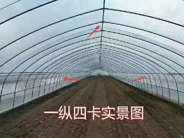  厂家直销，养殖大棚，种植大棚，单体大棚，连体大棚