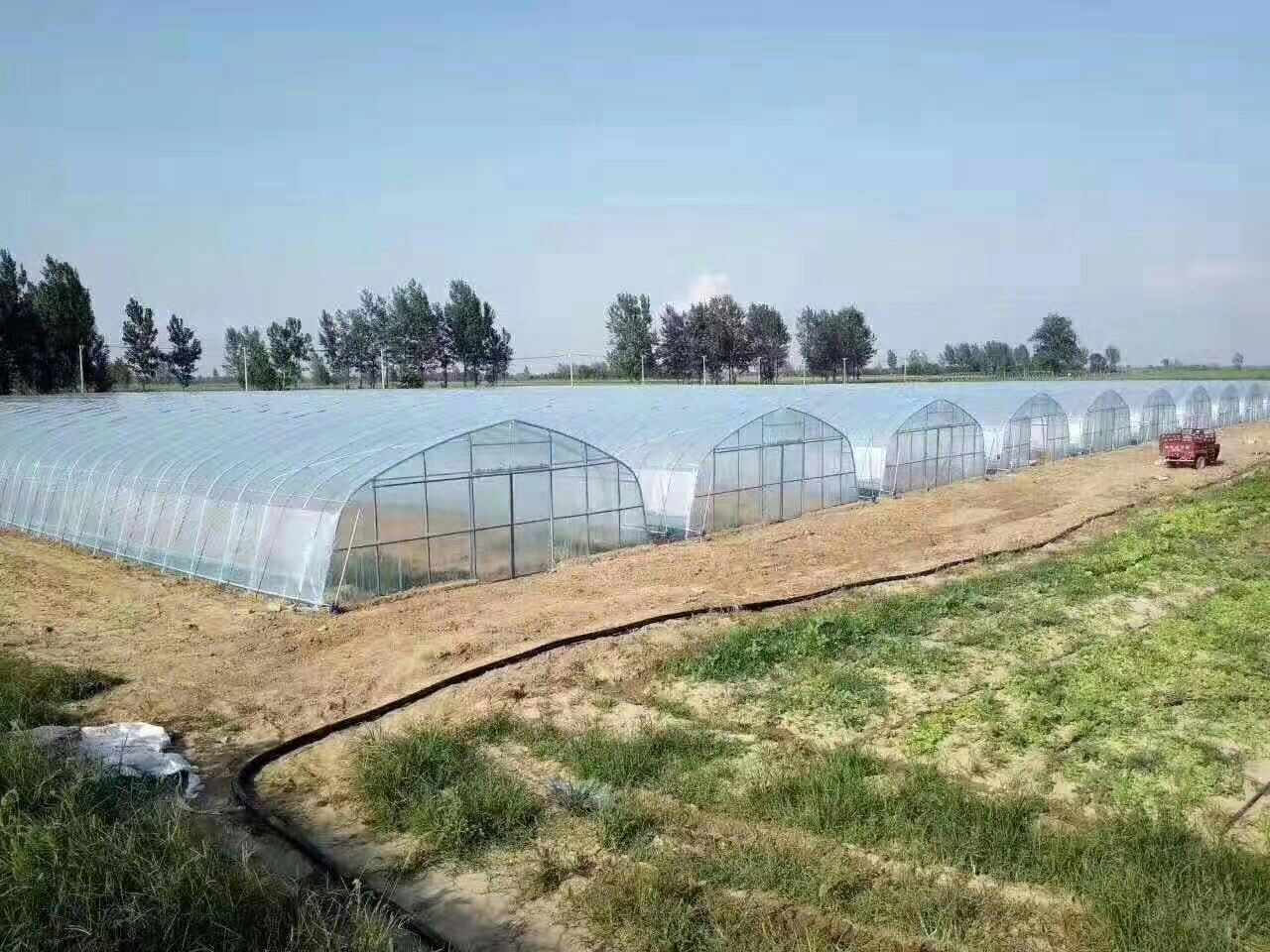  厂家直销，养殖大棚，种植大棚，单体大棚，连体大棚