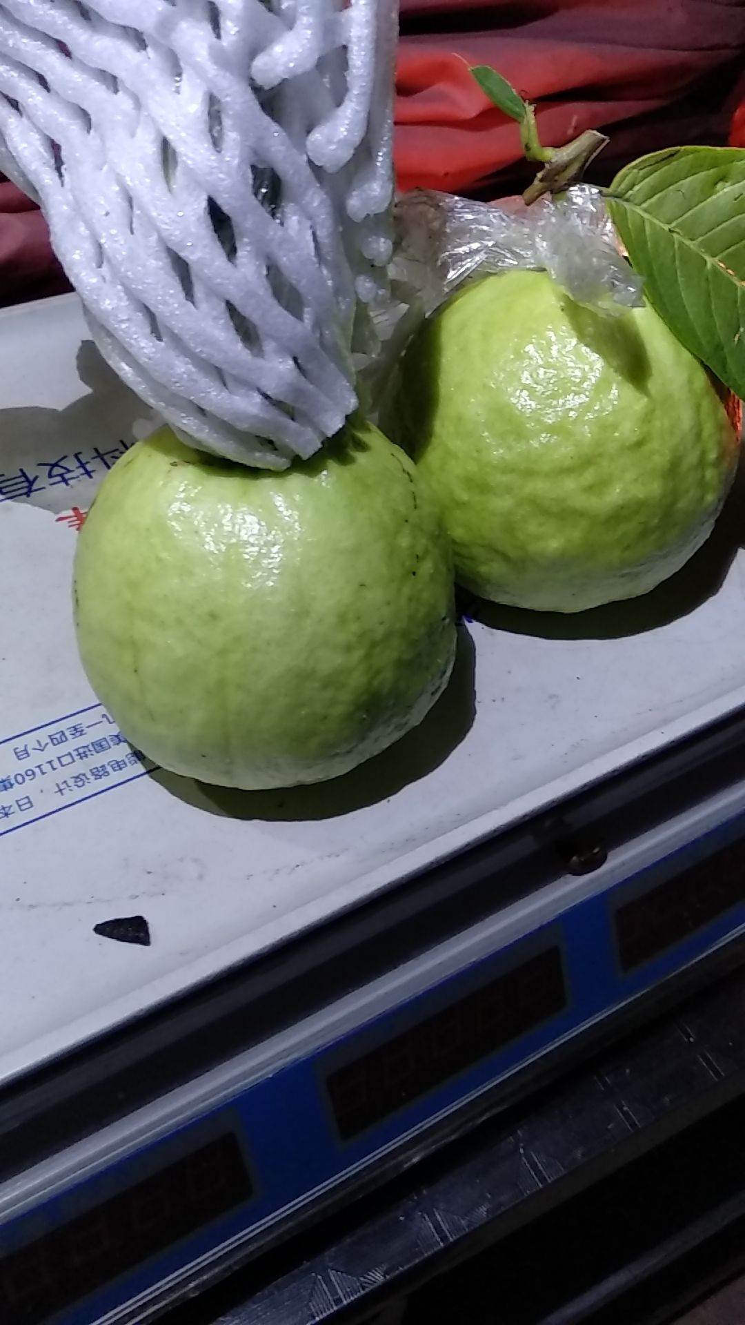 白心番石榴  产自世界长寿之乡，芭乐番石榴脆甜爽口