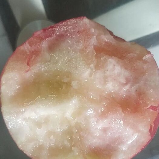 临猗县超越桃 山西运城临猗北辛坡上优质水果基地秦王超越毛桃大量上市