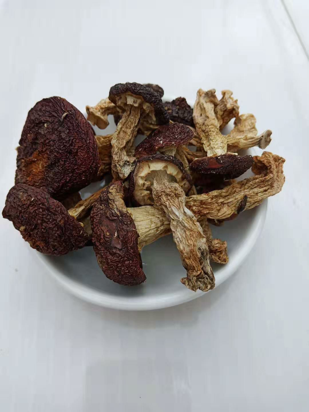  林下赤松茸，无公害，天然绿色农产品。