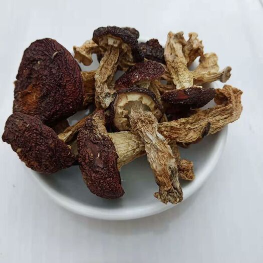 凯里市 林下赤松茸，无公害，天然绿色农产品。