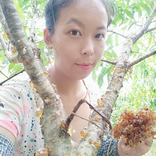 灵川县野生桃胶 让你越吃越美丽，让你越吃越年轻！