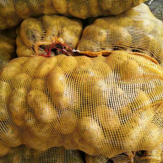 公主岭市 秋季土豆严薯 荷兰 杠三七大量供应代办代发诚信报价