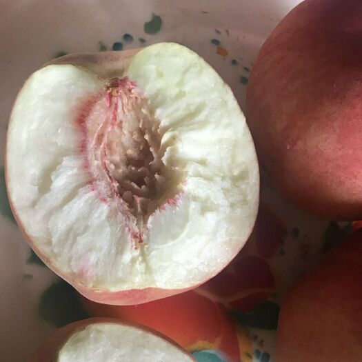 万荣县超越毛桃 脆甜多汁，硬度大耐运输。
