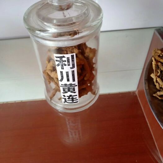 利川市黄连 清热燥湿，泻火解x之。其味入口极苦。